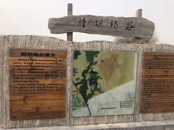 上海刑事案件找律師為您講講DNA鑒定意見證據(jù)如何分析