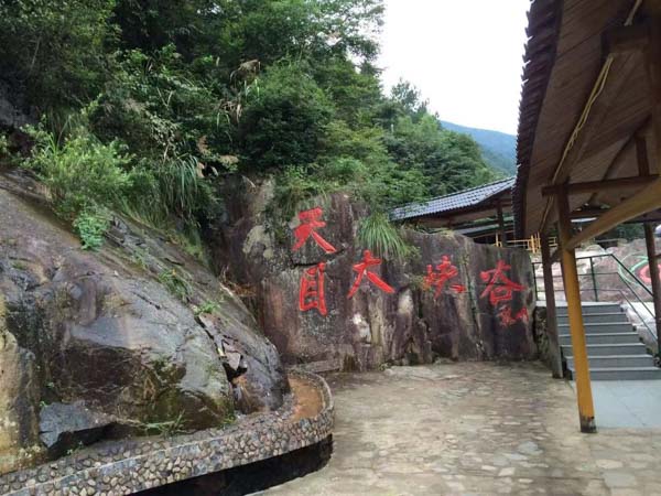 在網(wǎng)絡(luò)上擾亂網(wǎng)絡(luò)秩序是否構(gòu)成尋釁滋事罪？上海刑事律師告訴您