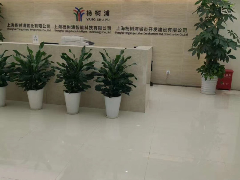 青浦區(qū)刑事律師為您講解虛開發(fā)票是為了證明自己的經(jīng)濟實力是否屬于犯罪