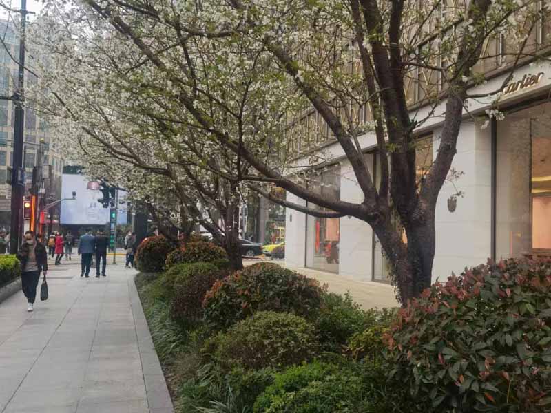 故意殺人案件能否由人民法院作為自訴案件直接受理？上海市刑法訴訟律師來回答