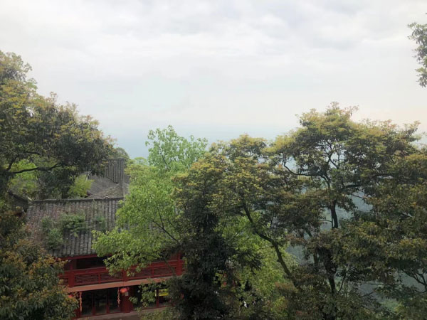 盜竊信用卡的行為包括哪些？寶山刑事律師帶您了解
