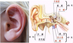 鼓膜穿孔是否構(gòu)成輕傷？