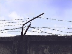 提籃橋旁律師看該槍斃死刑犯如何出獄？